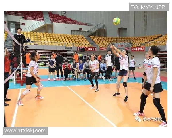 上海排球队灵活性分析与表现评估探讨 上海排球队灵活性分析与表现评估探讨